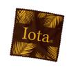 Iota Phi Theta Eyeglass Cleaner & Microfiber Cleaning Cloth (Iota Phi Theta - 7) view 3