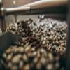 1 LB AUTHENTIC Jamaica Blue Mountain GROUND Coffee ~ 100% Certified | Medium (Full City) Roast view 3