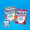 Welch's Fruit Snacks, Mixed Fruit & Berries 'N Cherries Variety Pack, Great for School Lunches, Bulk Pack, Individual Single Serve Bags, 0.8 oz (Pack of 60) view 3