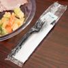 250 Plastic Cutlery Packets - Knife Fork Spoon Napkin Salt Pepper Sets | Black Silverware Sets Individually Wrapped Kits, Bulk Plastic Utensil Cutlery Disposable To Go Silverware view 4
