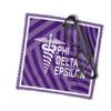Phi Delta Epsilon Eyeglass Cleaner & Microfiber Cleaning Cloth (Phi Delta Epsilon - 8) view 2
