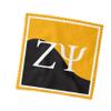 Zeta Psi Eyeglass Cleaner & Microfiber Cleaning Cloth (Zeta Psi - 4) view 3