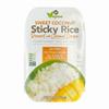 24Vegan - Sweet Coconut Sticky Rice | Ready to Eat Vegan Dessert, Gluten-Free | Organic Coconut Rice Pudding (7.8oz) - Pack of 1 view 1