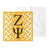 Zeta Psi Eyeglass Cleaner & Microfiber Cleaning Cloth (Zeta Psi - 7) view 1