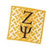 Zeta Psi Eyeglass Cleaner & Microfiber Cleaning Cloth (Zeta Psi - 7) view 3