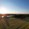 Soybeans view 3