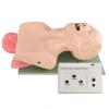 HEALTHIBLE Intubation Human Model Simulator- Endotracheal Intubation Manikin Simulator, Airway Managment Trainer with Tube for Science Education/Study/Practice view 1