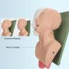 HEALTHIBLE Intubation Human Model Simulator- Endotracheal Intubation Manikin Simulator, Airway Managment Trainer with Tube for Science Education/Study/Practice view 2