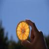 Dehydrated Red Blood Cara Cara orange Slices, Citrus, Immune Booster to infuse water, cocktails garnish,Self Care, Wedding/Fall/Holiday Decor- 60 slices view 4
