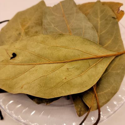 HealinGifts Avocado Leaves dried 1 oz in a stand-up clear Kraft resealable pouch. Wildcrafted from Mexico.