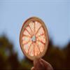 Dehydrated Grapefruit Slices, Citrus, Immune Booster to infuse water, cocktails garnish,Self Care, Wedding/Fall/Holiday Decor - 40 slices view 4