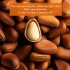 Pine Nuts dry Fruit with Shell 8.81oz Original pine nut 250 big granule, red pine nut, The shell has cracks for easy opening view 3