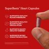 Humann SuperBeets Beet Root Capsules Quick Release 1000mg, Helps Support Nitric Oxide Production, Blood Pressure, Heart Health, Contains Non-GMO Beetroot Powder, Studied Antioxidants 90 Count view 3