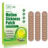 369 Life Motion Sickness Patches for Car and Boat Rides, Ships, Cruise and Airplane & Other Forms of Transport - Travel Essentials, for Adults and Kids (36 Count) view 1