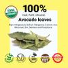 Akshit Dried Avocado Leaves, Herbal Aromatic Tea, Hojas De Aguacate Secas, Natural Dried Leaves, Non-GMO, Loose Leaf Tea, Caffeine-Free. 13oz view 2