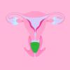 Hello Period Cup Low Cervix Menstrual Cup | Award Winning Reusable Soft Flexible Alternative to Pads & Tampons | Sustainable Feminine Hygiene | Leak Proof | Holds 28ml | 45mm Diameter, 47mm L (Large) view 4