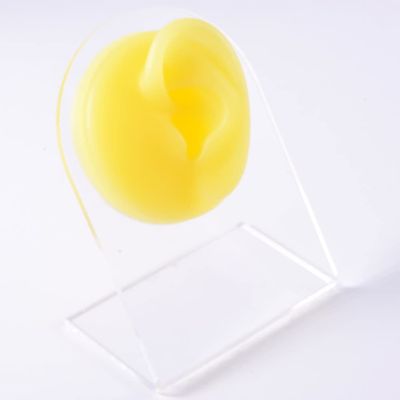 GatherTOOL 1PC Soft Silicone Flexible Nose Model Displays Human Ear Mouth Eye Tongue Model Simulation for Jewelry Display Teaching Tool (Color : 1PC Yellow Left Ear)