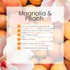Qarentine Organic Soy Wax Magnolia & Peach Scented Vegan Candle | Fruity and Floral Aroma | 100% Pure Soy & Essential Oils | Long-Lasting Scent | Hand-Poured in The USA (16oz) view 4