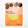 Bacillus Coagulans 500 Million CFU Live Probiotics - 120 Tablets - UK Made Vegan Digestive & Immune Support - Spore Based Gut Health - Plastic Free Refill Pouches view 1