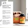 Bacillus Coagulans 500 Million CFU Live Probiotics - 120 Tablets - UK Made Vegan Digestive & Immune Support - Spore Based Gut Health - Plastic Free Refill Pouches view 4