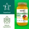 Sea Moss Gel Organic Raw (Bundles) Various Flavors Wildrafted Gold Sea Moss Gel | 92 Vitamins and Minerals | Pure Raw+Non-GMO | Vegan Superfood (3-Pack, Pineapple, Mango and Strawberry) view 2