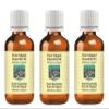 Devprayag Pure Cajeput Essential Oil (Melaleuca cajeputi) Steam Distilled (Pack of Three) 100ml X 3 (10 oz) view 1