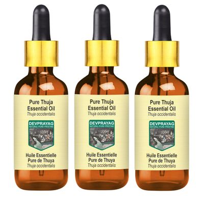 Devprayag Pure Thuja Essential Oil (Thuja occidentalis) with Glass Dropper Steam Distilled (Pack of Three) 100ml X 3 (10 oz)