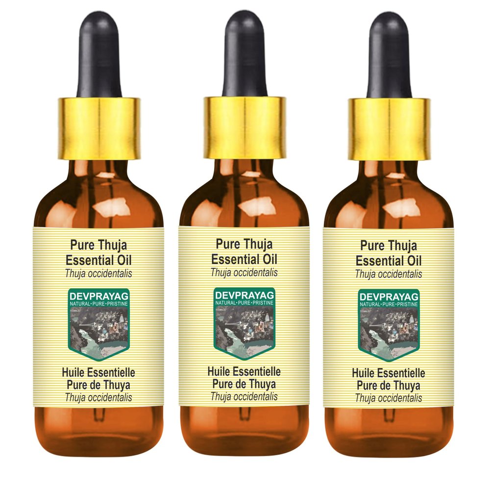 Devprayag Pure Thuja Essential Oil (Thuja occidentalis) with Glass Dropper Steam Distilled (Pack of Three) 100ml X 3 (10 oz)