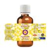 Devprayag Pure Pine Essential Oil (Pinus sylvestris) Steam Distilled (Pack of Two) 100ml X 2 (6.76 oz) view 2