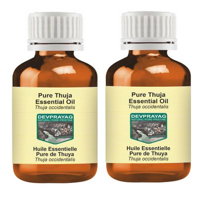 Devprayag Pure Thuja Essential Oil (Thuja occidentalis) Steam Distilled (Pack of Two) 100ml X 2 (6.76 oz)