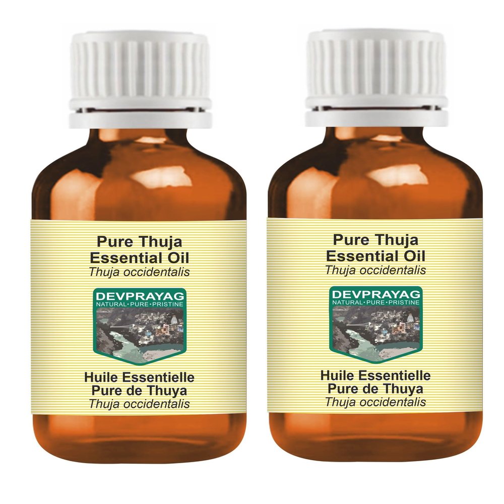 Devprayag Pure Thuja Essential Oil (Thuja occidentalis) Steam Distilled (Pack of Two) 100ml X 2 (6.76 oz)