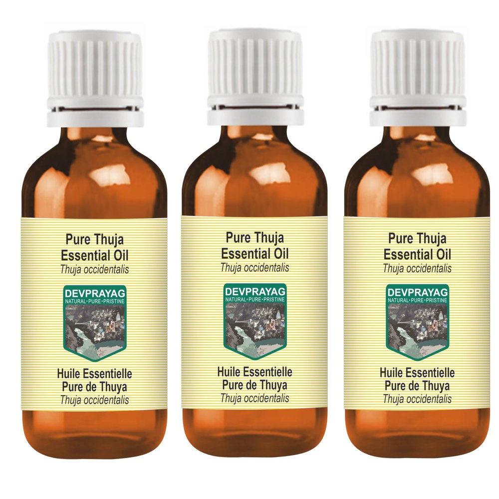 Devprayag Pure Thuja Essential Oil (Thuja occidentalis) Steam Distilled (Pack of Three) 100ml X 3 (10 oz)