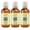 Devprayag Pure Thuja Essential Oil (Thuja occidentalis) Steam Distilled (Pack of Three) 100ml X 3 (10 oz) view 1