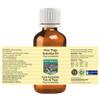 Devprayag Pure Thuja Essential Oil (Thuja occidentalis) Steam Distilled (Pack of Three) 100ml X 3 (10 oz) view 2
