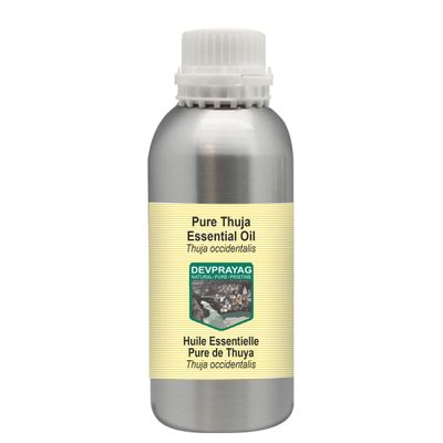 Devprayag Pure Thuja Essential Oil (Thuja occidentalis) Steam Distilled 630ml (21 oz)