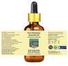 Devprayag Pure Rosemary Essential Oil (Rosmarinus officinalis) with Glass Dropper Steam Distilled 10ml (0.33 oz) view 3