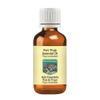 Devprayag Pure Thuja Essential Oil (Thuja occidentalis) Steam Distilled 50ml (1.69 oz) view 1