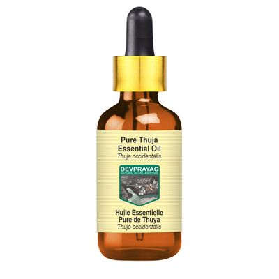 Devprayag Pure Thuja Essential Oil (Thuja occidentalis) with Glass Dropper Steam Distilled 50ml (1.69 oz)