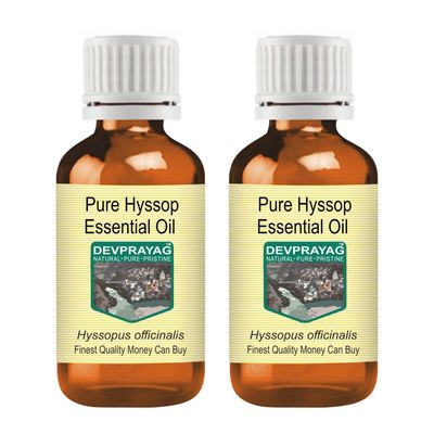 Devprayag Pure Hyssop Essential Oil (Hyssopus officinalis) Steam Distilled (Pack of Two) 100ml X 2 (6.76 oz)