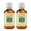 Devprayag Pure Hyssop Essential Oil (Hyssopus officinalis) Steam Distilled (Pack of Two) 100ml X 2 (6.76 oz) view 1