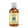 Devprayag Pure Bergamot Mint Essential Oil (Mentha citrata) Steam Distilled 100ml (3.38 oz) view 1