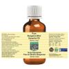 Devprayag Pure Bergamot Mint Essential Oil (Mentha citrata) Steam Distilled 100ml (3.38 oz) view 2