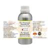 Devprayag Pure Rosemary Essential Oil (Rosmarinus officinalis) Steam Distilled 1250ml (42 oz) view 2