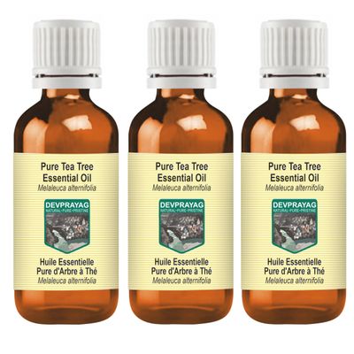 Devprayag Pure Tea Tree Essential Oil (Melaleuca alternifolia) Steam Distilled (Pack of Three) 100ml X 3 (10 oz)