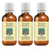 Devprayag Pure Tea Tree Essential Oil (Melaleuca alternifolia) Steam Distilled (Pack of Three) 100ml X 3 (10 oz) view 1
