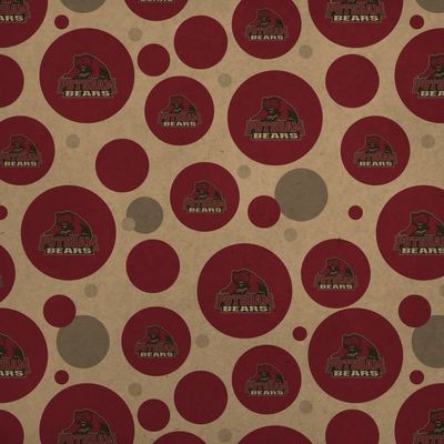 GRAPHICS & MORE State University of New York at Potsdam Primary Logo Premium Kraft Gift Wrap Wrapping Paper Roll