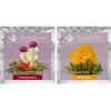 Blooming Tea Flowers - Pomegranate & Pineapple Flowering Teas Each Tea Blossom Can Be Steeped Multiple Times (2-Pack) view 4