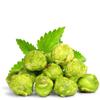 Green Mint Candy Popcorn by Its Delish,1 LB Bulk Bag, Festive Air Popped Sweet Crunchy Caramelized Popcorn - Refreshing Snack for Desserts, Parties, Candy Buffet  Vegan, Kosher view 1