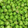 Green Mint Candy Popcorn by Its Delish,1 LB Bulk Bag, Festive Air Popped Sweet Crunchy Caramelized Popcorn - Refreshing Snack for Desserts, Parties, Candy Buffet  Vegan, Kosher view 3