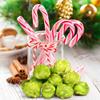 Green Mint Candy Popcorn by Its Delish,1 LB Bulk Bag, Festive Air Popped Sweet Crunchy Caramelized Popcorn - Refreshing Snack for Desserts, Parties, Candy Buffet  Vegan, Kosher view 4